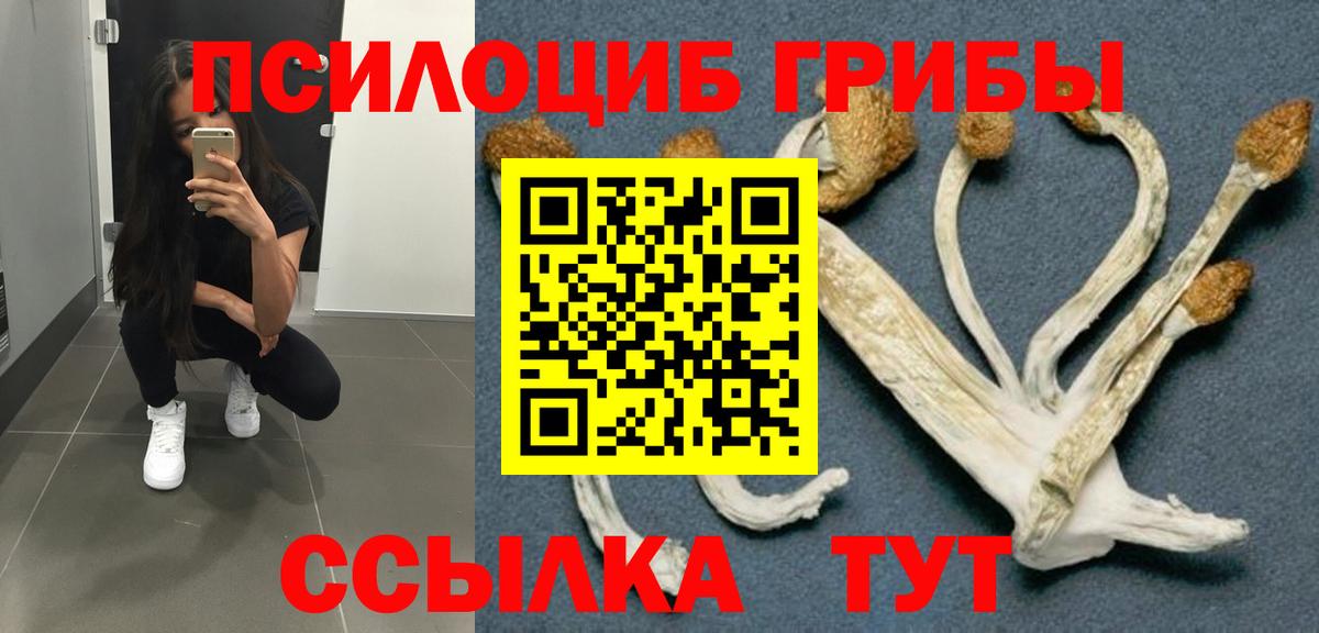 Галлюциногенные грибы GOLDEN TEACHER Воронеж