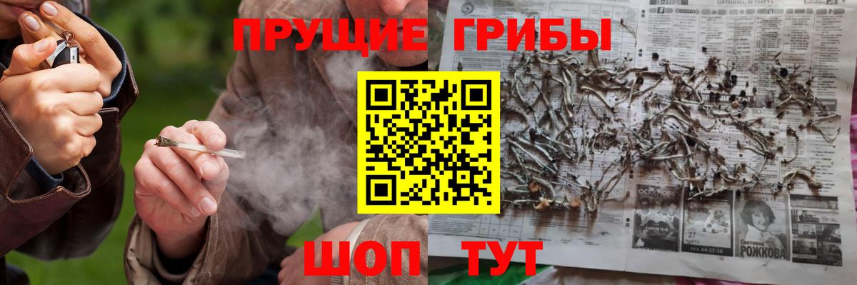 Галлюциногенные грибы мицелий  Вход с VPN  Воронеж  Галлюциногенные грибы прущие грибы 